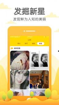 猫咪成人直播app官网,带你走进萌宠互动新世界